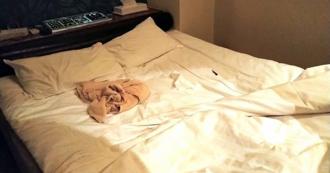 妹子每天熬夜 竟害卵巢早衰停經 