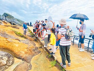 新北環境季落幕 50萬人玩淨零