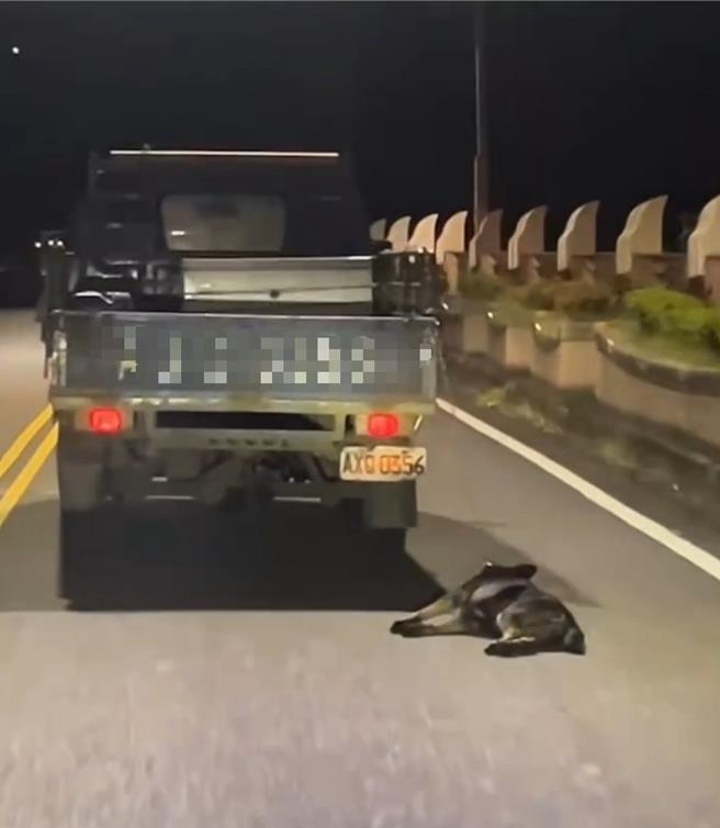 宜蘭頭城30日晚間10時許，一輛小貨車當街將狗活生生拴在車後拖行，且倒地癱軟、滿身血跡，痛苦模樣讓人心碎。（民眾提供／吳佩蓉宜蘭傳真）