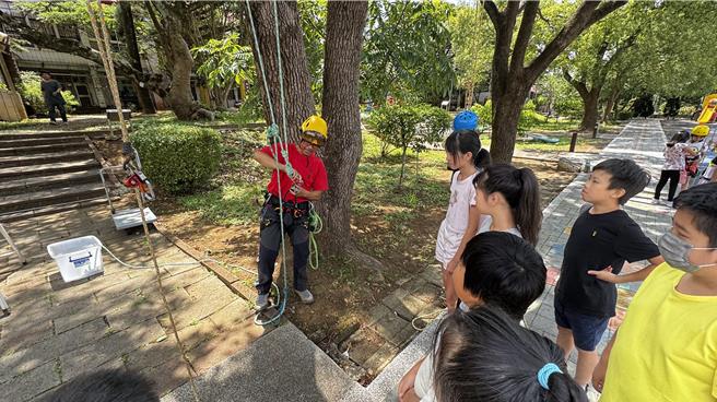 淡水坪頂國小於6月24日至26日舉辦「攀樹體驗課程」。（張鎧乙攝）