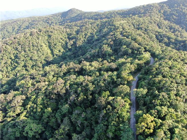 屏东县牡丹乡高士村、编号第2457号水源涵养保安林，更名为「高士saqecengalj保安林」。（林保屏东分署提供／罗琦文屏东传真）