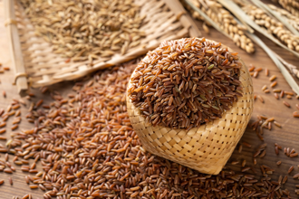 朱元璋搬3筐稻穀當考題 劉伯溫臉色大變：要出人命了