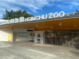 新竹動物園瘋暑假！12歲以下學童8月底前入園免費