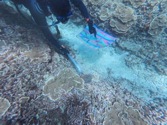 棘冠海星之害！海保署公私協力守護東南沙、澎湖  永續珊瑚礁生態系