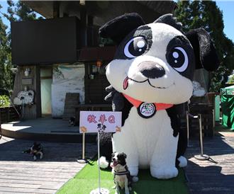 清境牧羊犬氣球徵名結果出爐 「牧羊Q」首度亮相