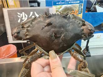 海鮮控快衝！星星水產沙公限定特賣 超值優惠299元