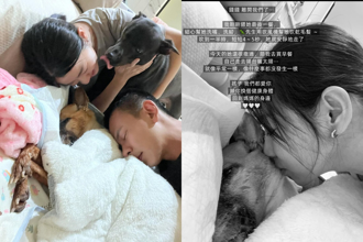 米可白愛犬胃癌病逝！「吻別畫面」惹鼻酸：快回到媽媽身邊