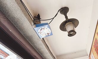 台北 骑楼燕粪多 鸟会送搜集器