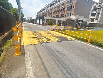 桃園減速平台易釀禍 地方促多維修