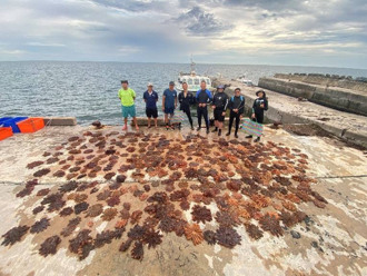海洋保育署科學監測清除棘冠海星 攜手海洋志工協力防治