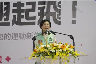 林岱樺成立基金會備戰高雄市長  金流指向吳祥輝、洪智坤、董思齊