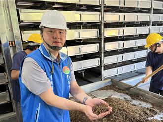 黑水虻大军日吃20吨厨余 养肥了还能当饲料