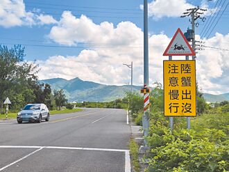 護蟹防路殺 車城濱海道路2時段封橋