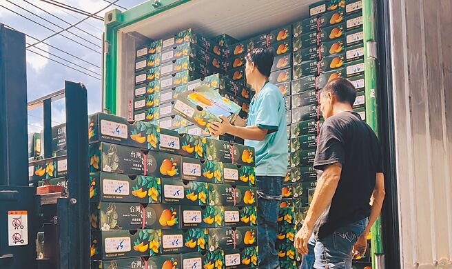 高雄金煌芒果产季登场，六龟区2日率先启动外销，首批6公吨芒果启运新加坡；图为六龟区农会装柜情形。（高雄市农业局提供／林雅惠高雄传真）