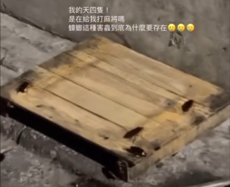 台北50年老店「4隻大蟑螂狂爬」 業者出面道歉