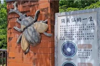 復育3年恐白費！苗栗獨角仙遭親子濫捕 公所喊話：愛牠別捉牠