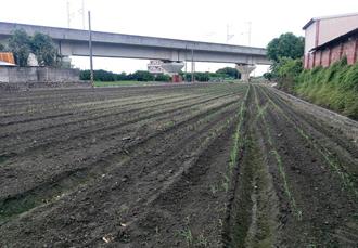 雲林地層下陷減幅近10年最佳 高鐵沿線沉陷率明顯改善