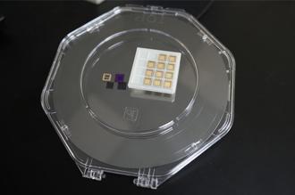 兴大与成大携手打造全球首创「悬浮式铁电二维电晶体」