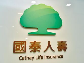 國壽指享盈 攜一銀搶先上架