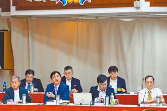 釋憲解決政治爭議 學者促深思