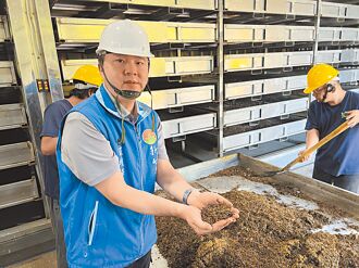 竹县导入黑水虻 日吃20吨厨余