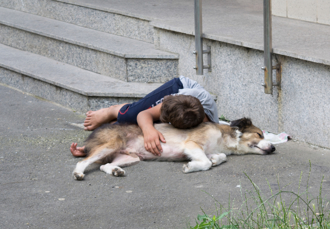泰8歲童遭母親遺棄 與6隻狗共居只會「狂吠」