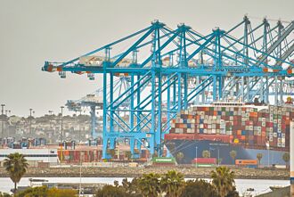 新關稅變數 SCFI美國線運價跌深