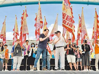 蓝酸大罢免 被民进党染绿变质