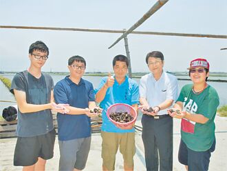 文蛤王經驗談 科學監測拚出路