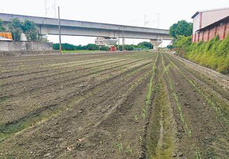 雲林 轉旱作奏效 高鐵沿線沉陷改善