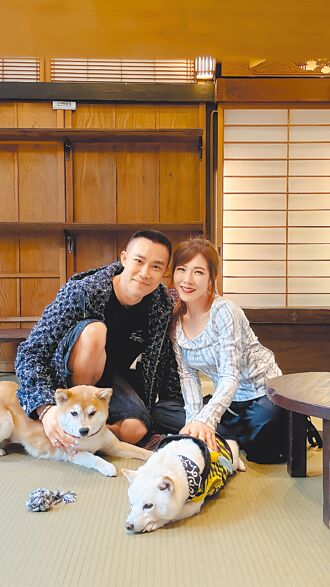 貓奴吳申梅遇萌柴 心動喊想養