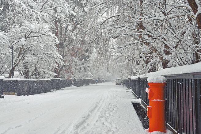 角馆的武家屋敷通有着不同的四季景致，白雪纷飞的冬日更显孤寂的氛围。（photo AC提供）