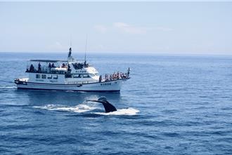 花蓮購物節登場 消費百元抽iMac、Dyson