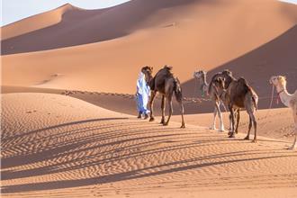 旅遊熱潮持續延燒 高CP值行程搶攻市場