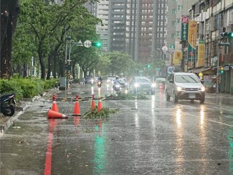 丹娜絲逼近高雄！市區樹枝掉落 百貨下午4點半打烊