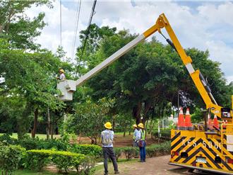 備戰「丹娜絲」來襲！金門台電全力戒備防颱