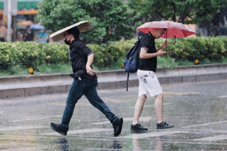 颱風丹娜絲來襲！文化大學7日暑修課程「全面線上」