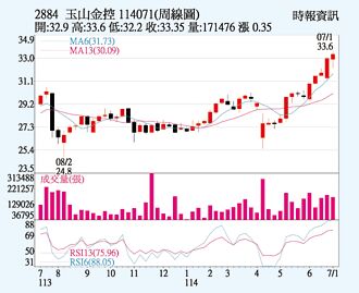 玉山金 三大法人加持