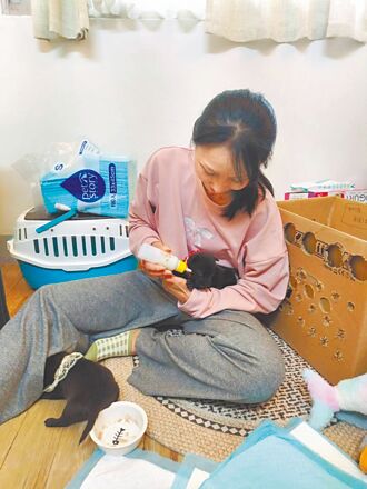 新北推代養家庭 毛孩不孤單