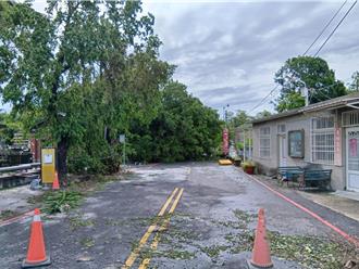 17級強陣風狂襲口湖！丹娜絲威力嚇人 整夜有如搖滾區