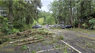 丹娜絲風強雨驟橫掃南投！溪頭聯外一度交通中斷