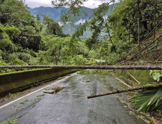 快訊》台南12區明天停班課！全台放假資訊一次看