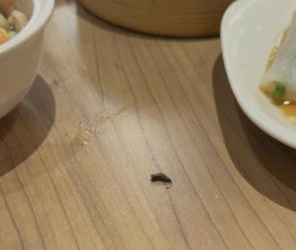 吃灌汤包竟天降老鼠屎！民眾当场呕吐 百货业者回应了