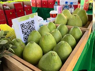 丹娜絲重創農產！全台損失破2.5億 文旦柚最慘「損失1億元」