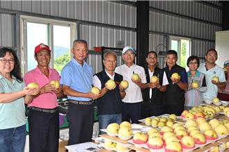 风雨后视察果园与稻作 林茂盛吁消费者力挺宜兰农产