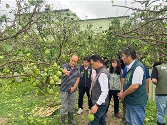 台南災損嚴重   林俊憲邀賴清德回本命區勘災