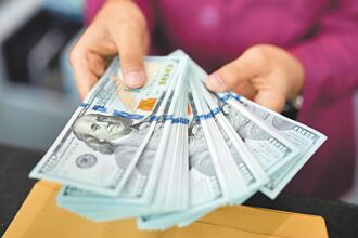 新聞分析》獵鷹獵過頭 恐連麻雀都看不到