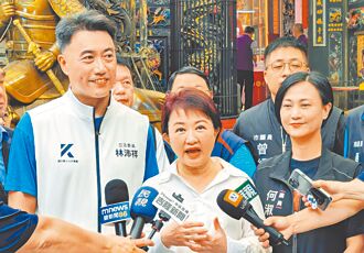 反罢母鸡 卢秀燕掌舵蓝白合