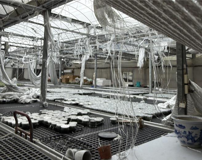 台南市北門區一家蘭園遭風災重創，溫室廠房幾乎全毀。（台南市農業局提供／程炳璋台南傳真）