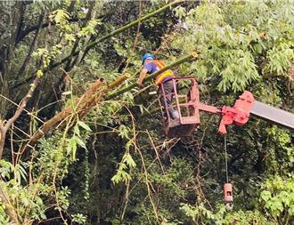 颱风过境！泰山区公所携手里长、清洁队近百人完成灾后復原